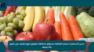 «سر الأسعار» أسعار الفاكهة بأسواق محافظة مطروح اليوم تعرف على الموز بـ35 جنيها